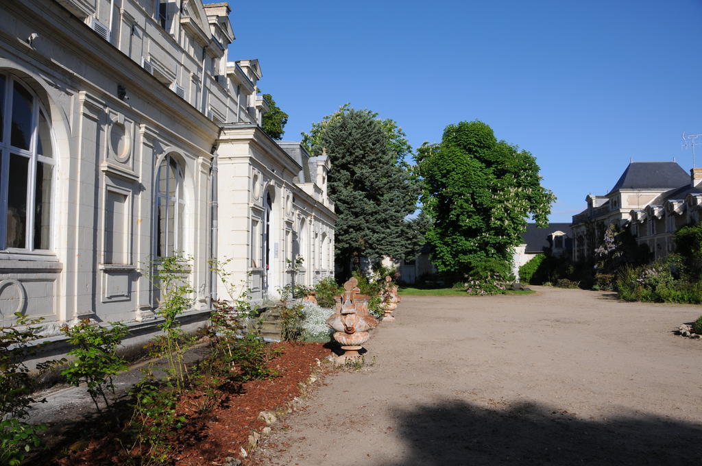 مبيت وإفطار Brain-sur-Allonnes Chateau De La Chaussee المظهر الخارجي الصورة