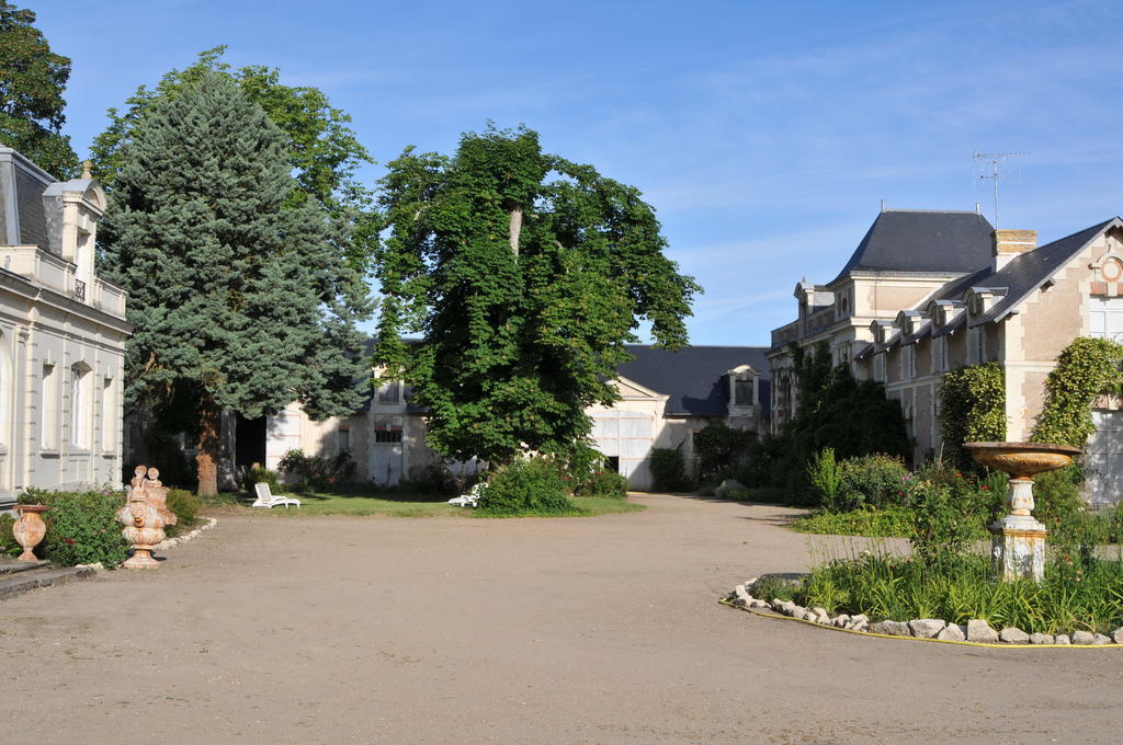 مبيت وإفطار Brain-sur-Allonnes Chateau De La Chaussee المظهر الخارجي الصورة